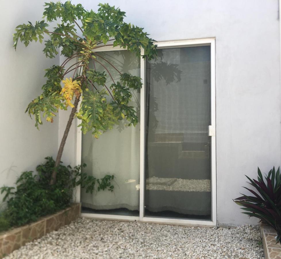 Green Lofts Cancún Exterior foto